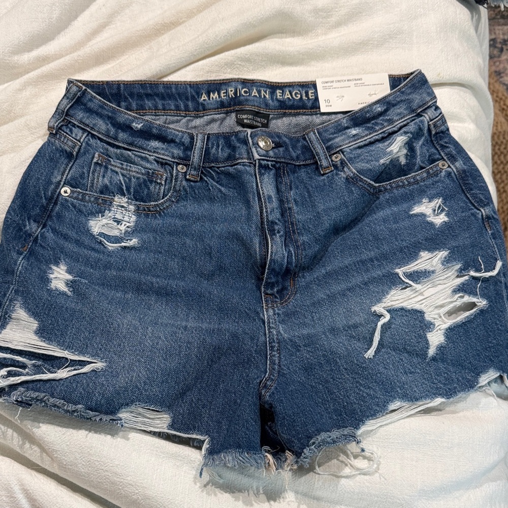 American Eagle Outfitters Women's Ripped Blue Jean Shorts